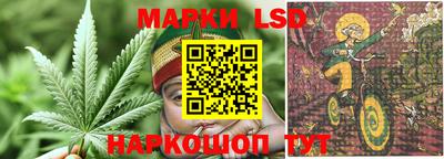гашишное масло Новокубанск