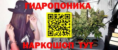 jwh Новодвинск